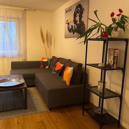 Apartment Roomy Comfort - Zwischen Heidelberg Und Mannheim Edingen-Neckarhausen ภายนอก รูปภาพ