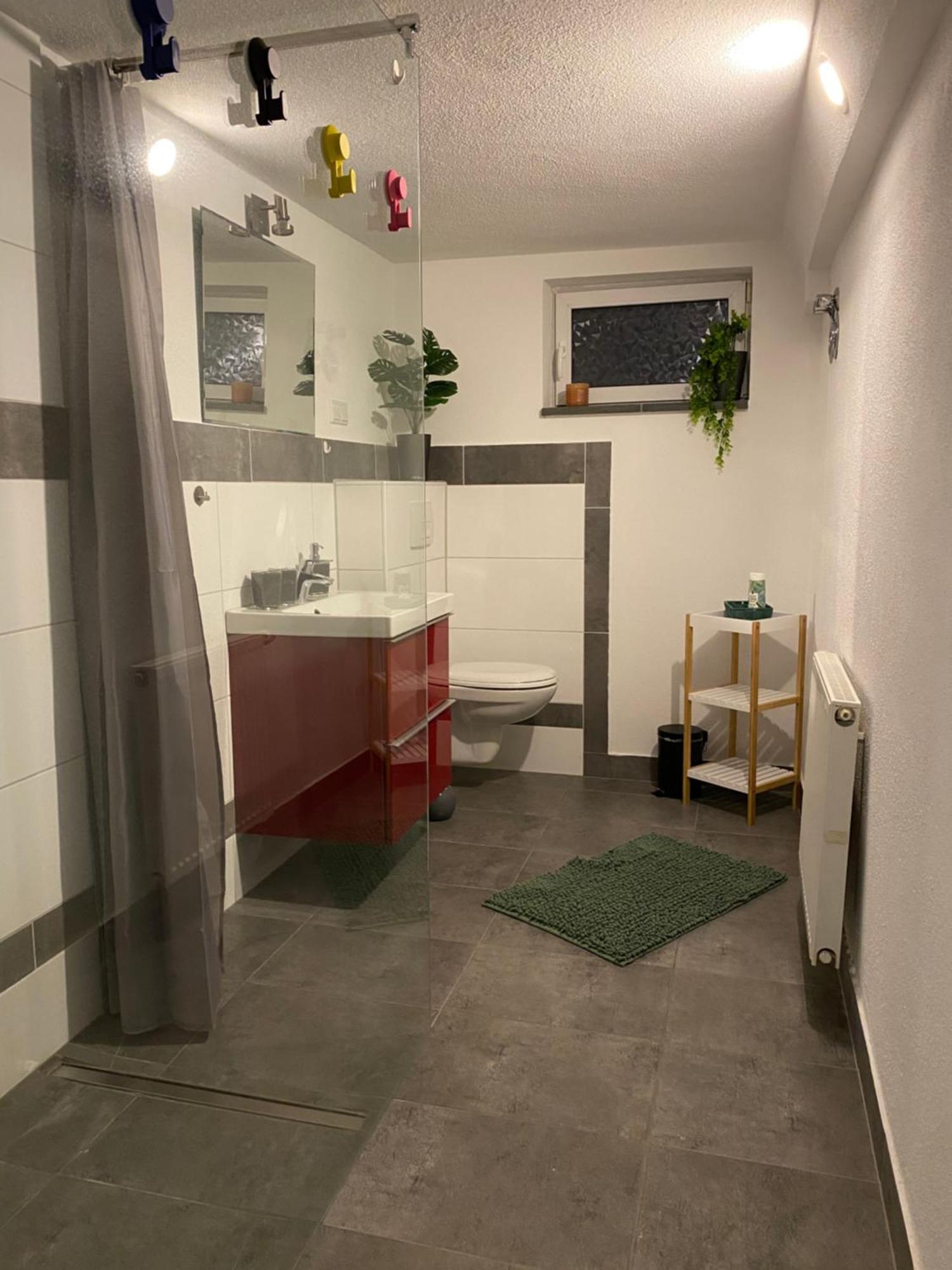 Apartment Roomy Comfort - Zwischen Heidelberg Und Mannheim Edingen-Neckarhausen ภายนอก รูปภาพ