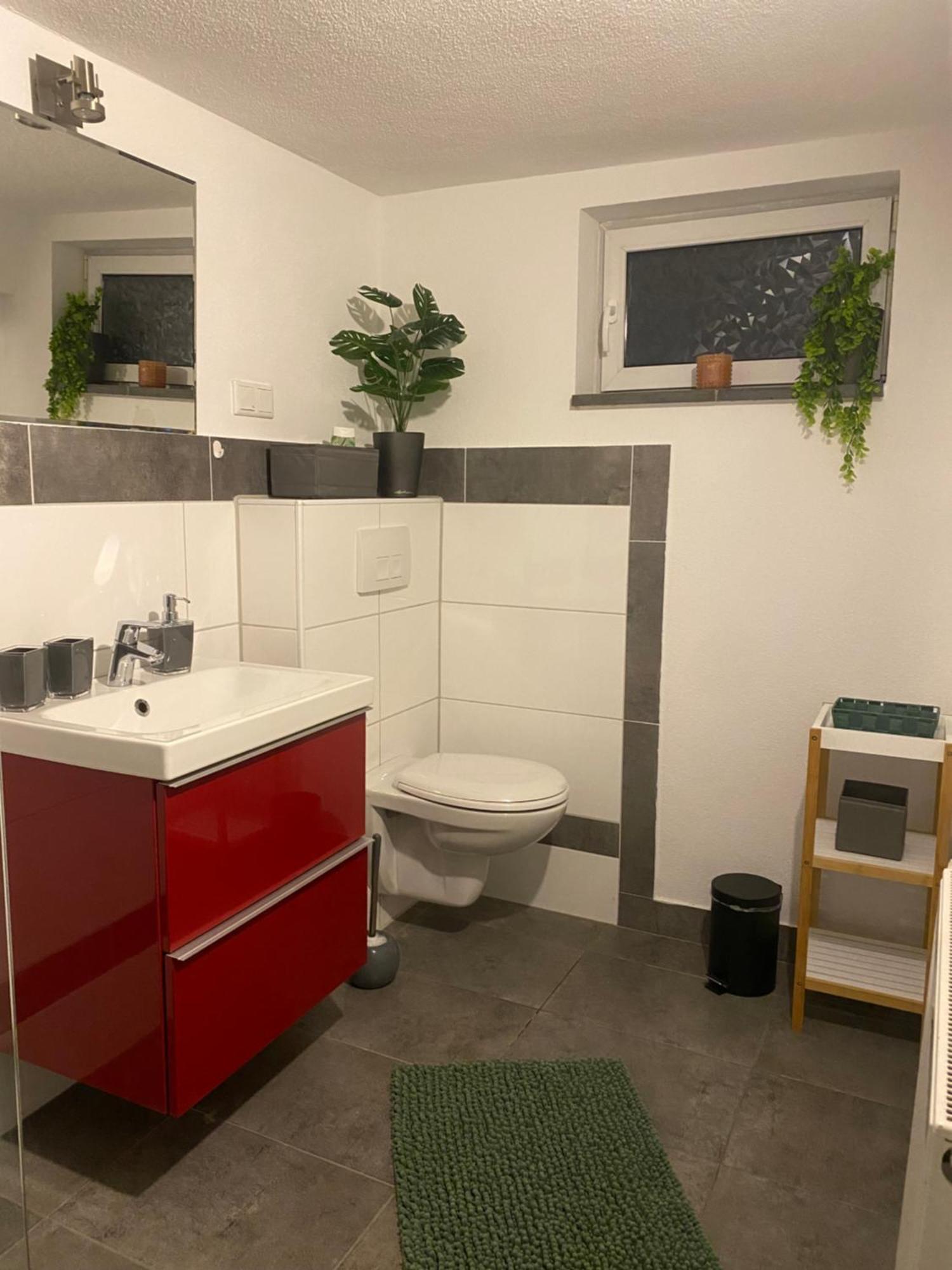 Apartment Roomy Comfort - Zwischen Heidelberg Und Mannheim Edingen-Neckarhausen ภายนอก รูปภาพ