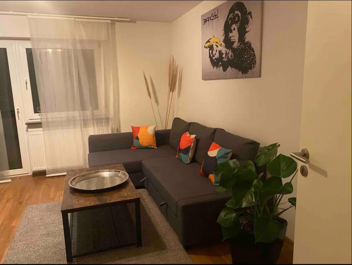 Apartment Roomy Comfort - Zwischen Heidelberg Und Mannheim Edingen-Neckarhausen ภายนอก รูปภาพ
