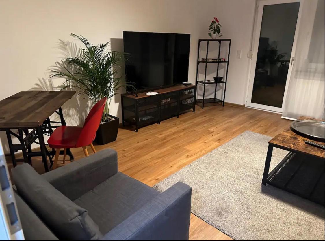 Apartment Roomy Comfort - Zwischen Heidelberg Und Mannheim Edingen-Neckarhausen ภายนอก รูปภาพ